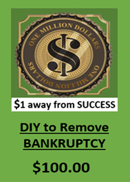 DIY To Remove Bankruptcy