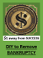 DIY To Remove Bankruptcy
